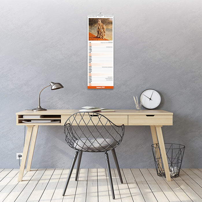 Meerkats 2027 Slimline Wall Calendar