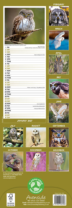 Owls 2027 Slimline Wall Calendar