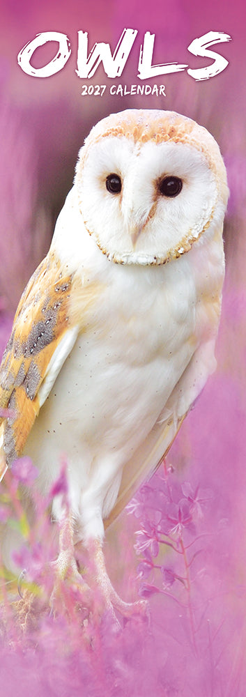 Owls 2027 Slimline Wall Calendar
