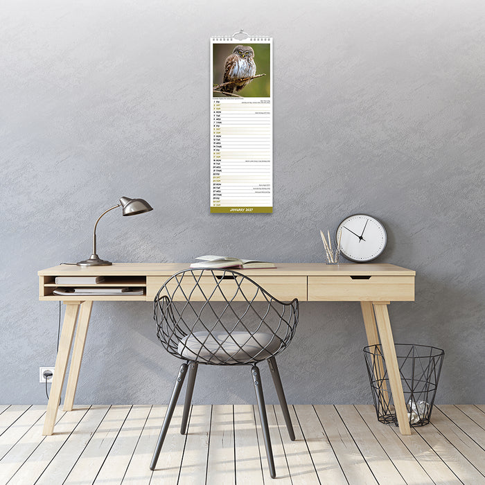 Owls 2027 Slimline Wall Calendar