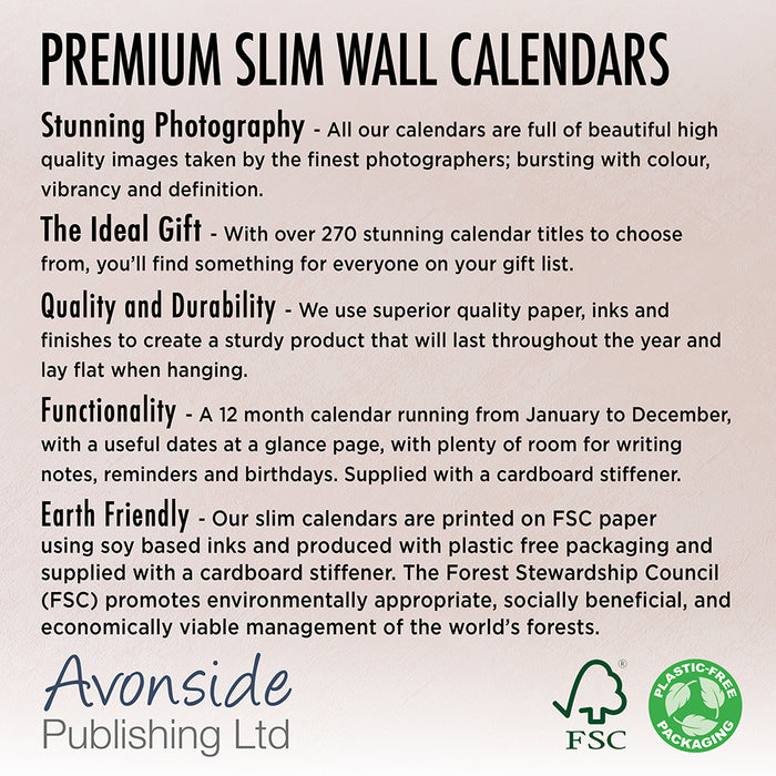 Owls 2027 Slimline Wall Calendar