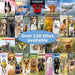 Owls 2027 Slimline Wall Calendar