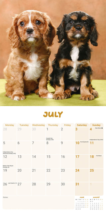 Cavalier King Charles Puppies 2027 Mini Wall Calendar