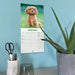 Cavalier King Charles Puppies 2027 Mini Wall Calendar