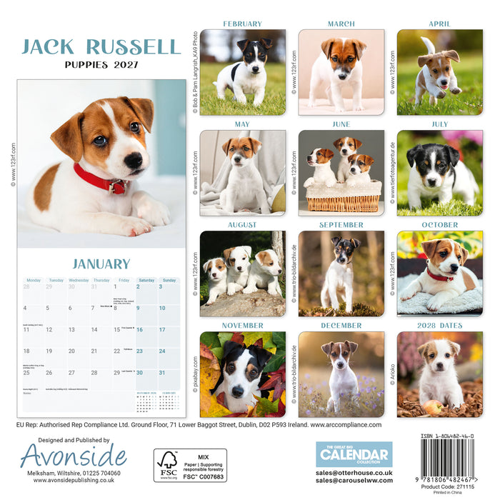 Jack Russell Puppies 2027 Mini Wall Calendar