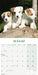 Jack Russell Puppies 2027 Mini Wall Calendar