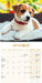 Jack Russell Puppies 2027 Mini Wall Calendar