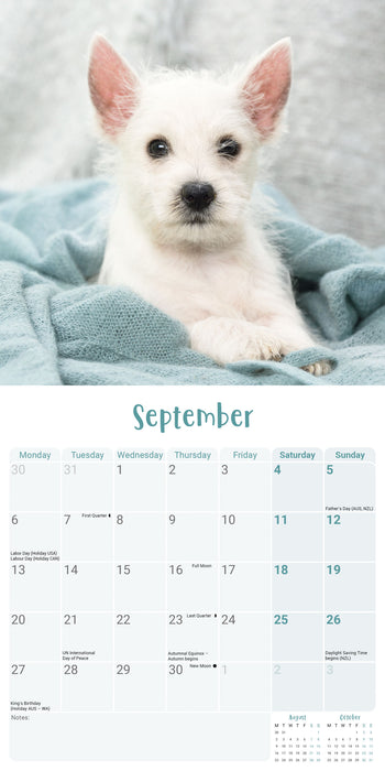 West Highland Terrier Puppies 2027 Mini Wall Calendar