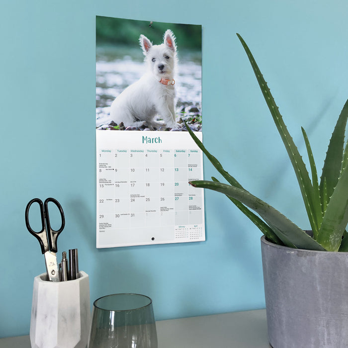 West Highland Terrier Puppies 2027 Mini Wall Calendar