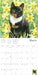 Ivory Cats by Lesley A Ivory 2027 Square Wall Calendar