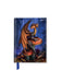 Anne Stokes 2027 Pocket Diary