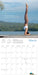 Yoga and Meditation 2026 Square Wall Calendar