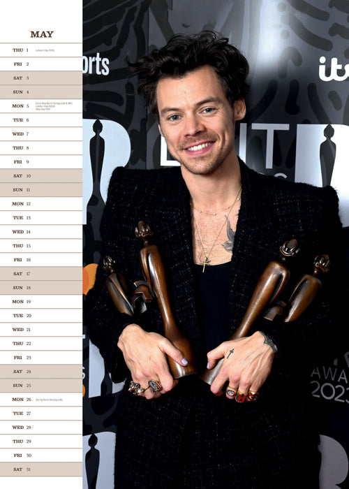 2025 Harry Styles Large Wall Calendar by  Pillar Box Red Publishing Ltd from Calendar Club