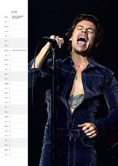 Harry Styles 2026 A3 Wall Calendar