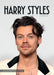 Harry Styles 2027 A3 Wall Calendar