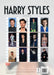 Harry Styles 2027 A3 Wall Calendar