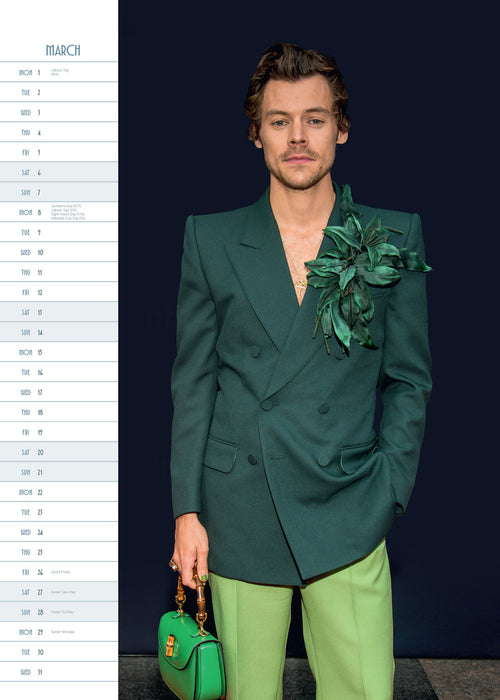 Harry Styles 2027 A3 Wall Calendar