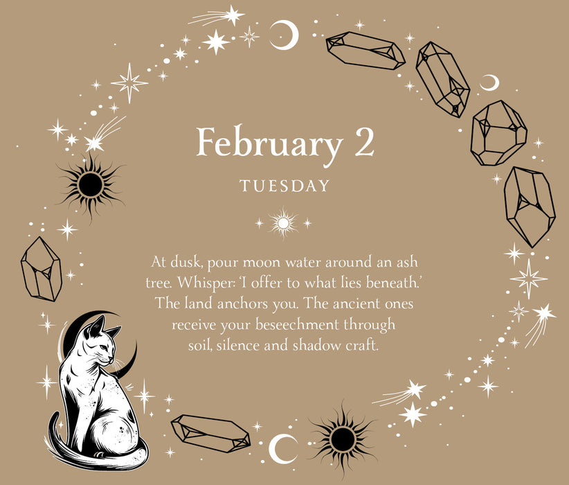 Witch Calendar Daily Magick 2027 Page-A-Day Calendar