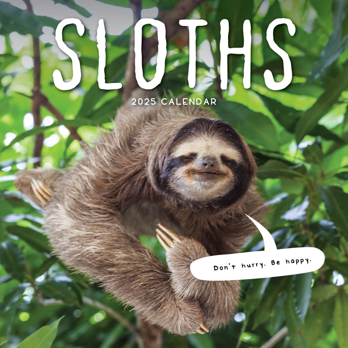 2025 Sloths Wall Calendar