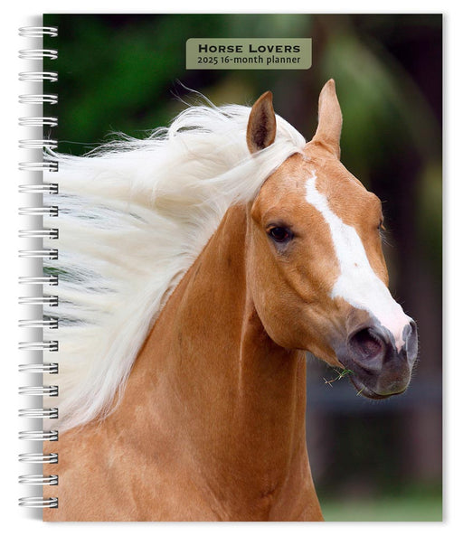 2025 Horse Lovers Engagement Diary by  BrownTrout Publishers Inc from Calendar Club