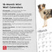 2025 Australian Shepherds Mini Wall Calendar by  BrownTrout Publishers Inc from Calendar Club