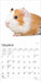 2025 Guinea Pigs Mini Wall Calendar by  BrownTrout Publishers Inc from Calendar Club