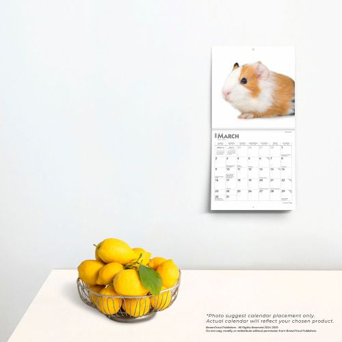 2025 Guinea Pigs Mini Wall Calendar by  BrownTrout Publishers Inc from Calendar Club