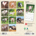 2025 Piglets Mini Wall Calendar by  BrownTrout Publishers Inc from Calendar Club