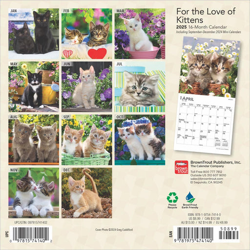 2025 For the Love of Kittens Mini Wall Calendar by  BrownTrout Publishers Inc from Calendar Club