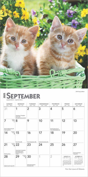 2025 For the Love of Kittens Mini Wall Calendar by  BrownTrout Publishers Inc from Calendar Club