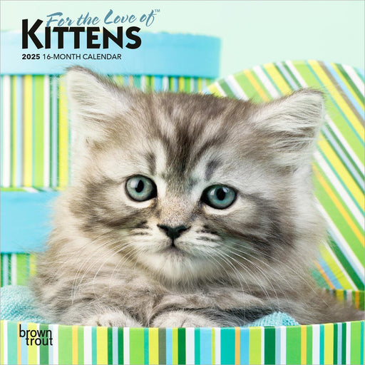 2025 For the Love of Kittens Mini Wall Calendar by  BrownTrout Publishers Inc from Calendar Club