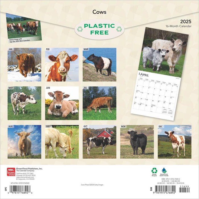 2025 Cows Wall Calendar by  BrownTrout Publishers Inc from Calendar Club