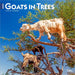 2025 Goats in Trees Wall Calendar by  BrownTrout Publishers Inc from Calendar Club