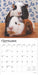 2025 Guinea Pigs Wall Calendar by  BrownTrout Publishers Inc from Calendar Club