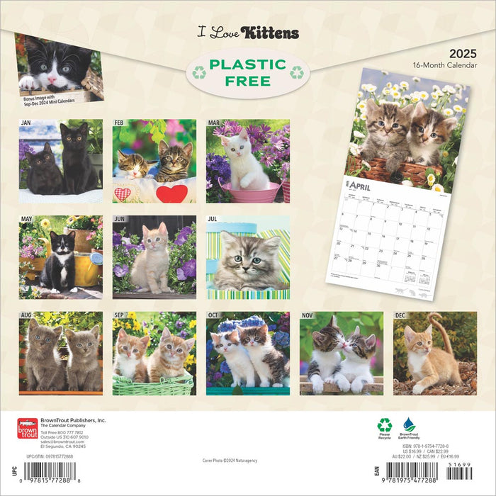 2025 I Love Kittens Wall Calendar by  BrownTrout Publishers Inc from Calendar Club