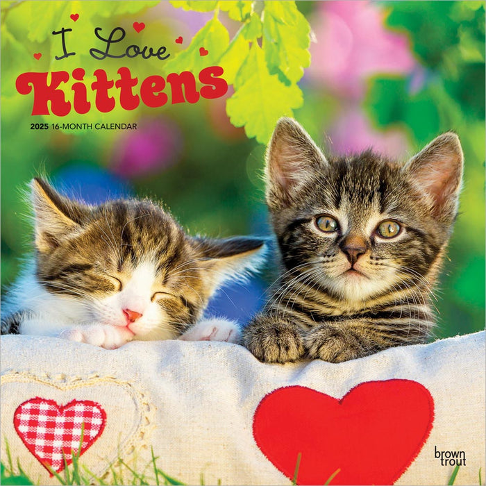 2025 I Love Kittens Wall Calendar by  BrownTrout Publishers Inc from Calendar Club