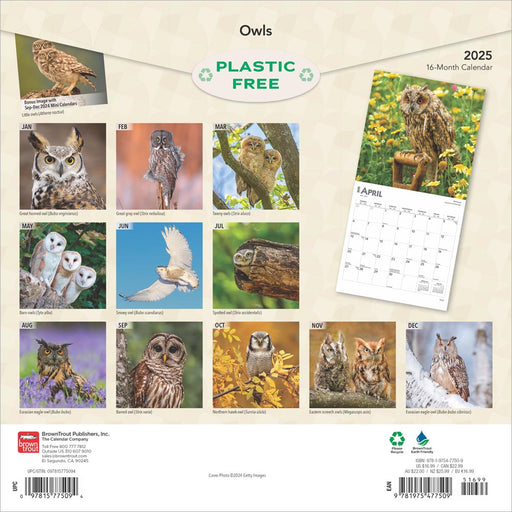 2025 Owls Wall Calendar by  BrownTrout Publishers Inc from Calendar Club