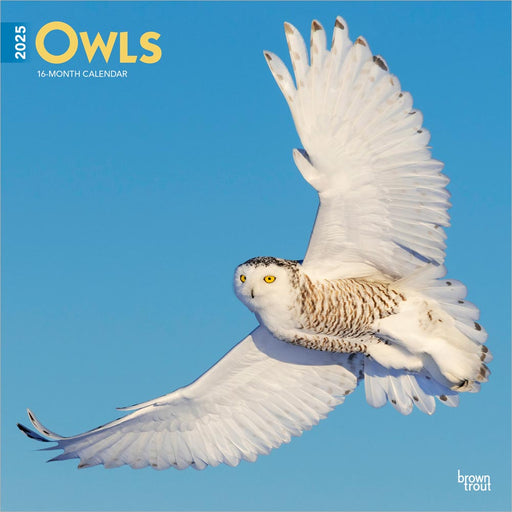 2025 Owls Wall Calendar by  BrownTrout Publishers Inc from Calendar Club