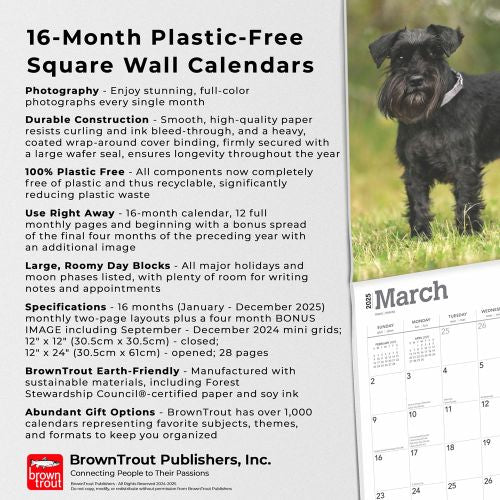 2025 Schnauzers Miniature Wall Calendar by  BrownTrout Publishers Inc from Calendar Club