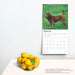 2025 Shar Pei Wall Calendar (Online Exclusive) by  BrownTrout Publishers Inc from Calendar Club