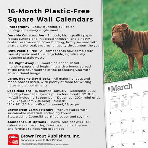 2025 Shar Pei Wall Calendar (Online Exclusive) by  BrownTrout Publishers Inc from Calendar Club