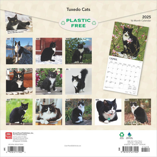 2025 Tuxedo Cats Wall Calendar by  BrownTrout Publishers Inc from Calendar Club