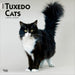 2025 Tuxedo Cats Wall Calendar by  BrownTrout Publishers Inc from Calendar Club