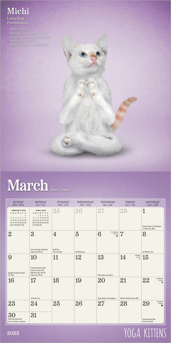 2025 Yoga Kittens Mini Wall Calendar by  BrownTrout Publishers Inc from Calendar Club