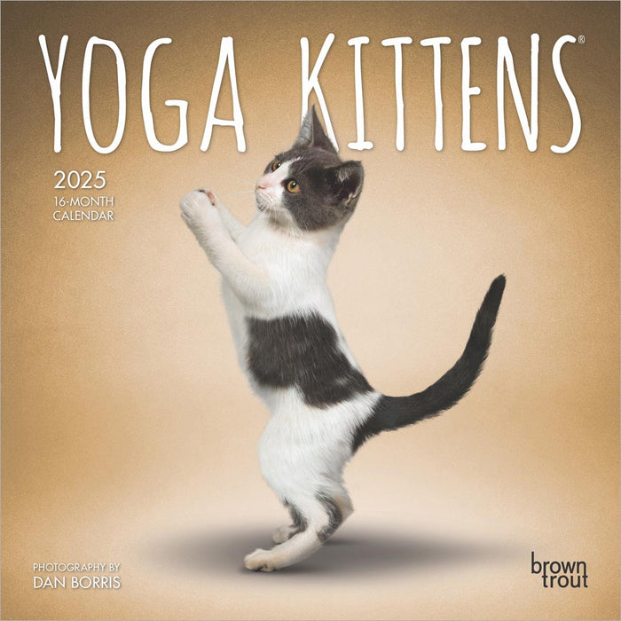 2025 Yoga Kittens Mini Wall Calendar by  BrownTrout Publishers Inc from Calendar Club