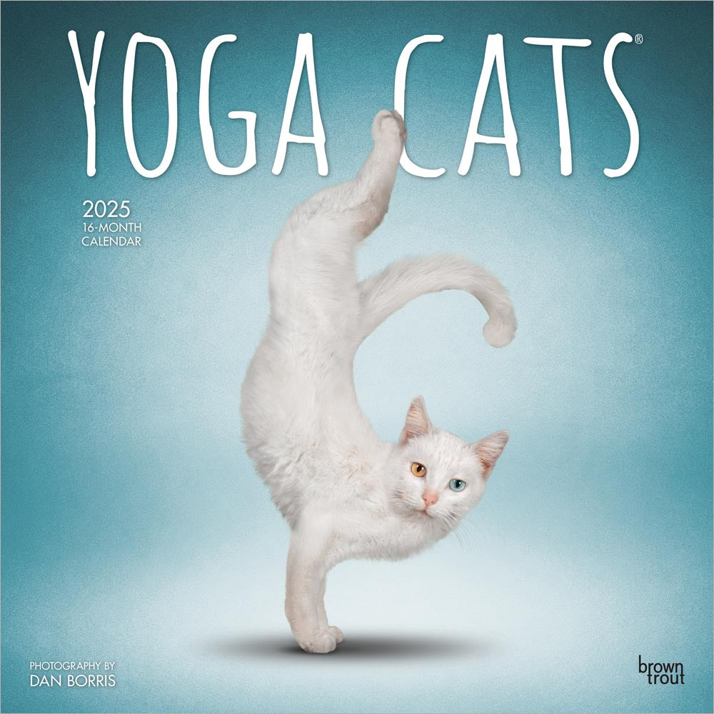 Shop Cats & Kittens Calendars