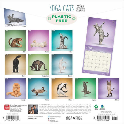 2025 Yoga Cats Wall Calendar by  BrownTrout Publishers Inc from Calendar Club