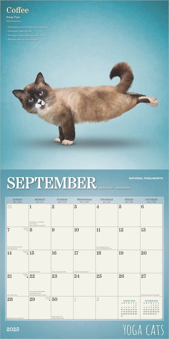 2025 Yoga Cats Wall Calendar by  BrownTrout Publishers Inc from Calendar Club