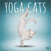 2025 Yoga Cats Wall Calendar by  BrownTrout Publishers Inc from Calendar Club