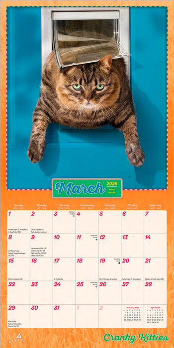 Avanti Cranky Kitties 2026 Mini Wall Calendar